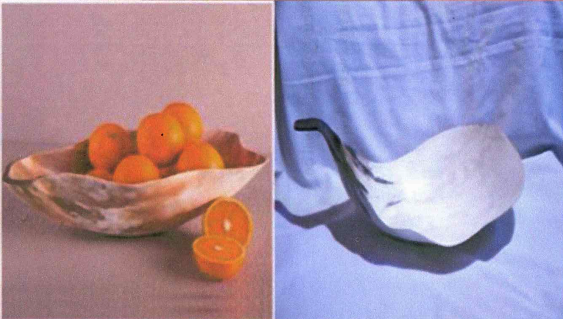 Large Fruit/Salad Bowl