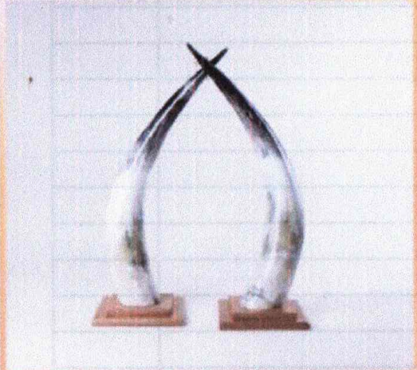 Pair of Medium Horns